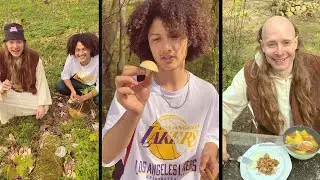 DJ HUNDEFRIEDHOF - Pilzesammeln mit Pilzaddicted