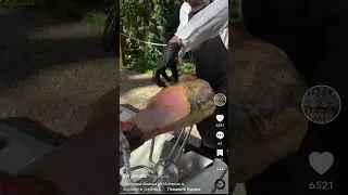 Как понять что ваше видео ТикТок попало в реки