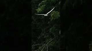 Вполёте 
