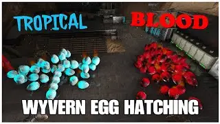 Tropical and Blood Crystal Wyvern egg hatching for mutations and stats