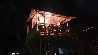 Tree House Night View | Kamero Consults x Shirshak Baniya