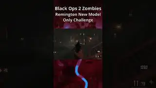 using a Forgotten Gun for a whole game (Black Ops 2 Zombies)