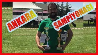 ALMAN ÇOBAN KÖPEKLERİ - ANKARA YARIŞMASI #almankurdu
