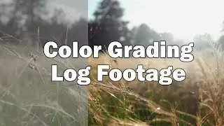 Color Grading Log Footage - A Tutorial in Premiere