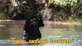 Караоке.*Жизнь посвящаю Тебе*христианские песни и гимны.