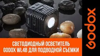 Светодиодный Godox WL4B откроет тайны подводной глубины