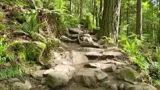 Hiking 6
