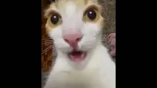 bad dream - sonic unreleased (TikTok version..)