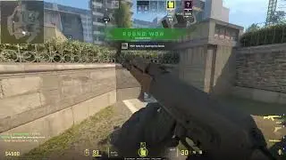 kot splat