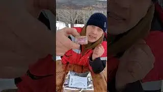 chasing the fox 🦊 vaccinating wild animals 🐾🐾