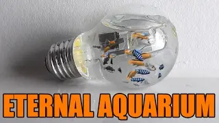 LIGHTBULB vs. DRILL PRESS | How to make an eternal aquarium