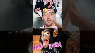 🤣🤣🤣EHEPAAR AUF REISEN🤣🤣🤣 