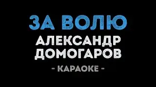 Александр Домогаров - За волю (Караоке)