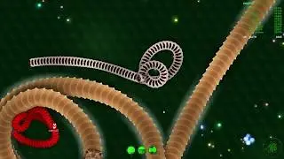 i found NOOB in Wormax.io