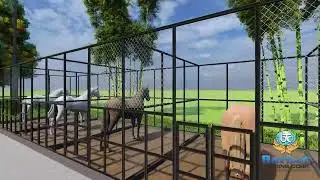 Horse Riding School