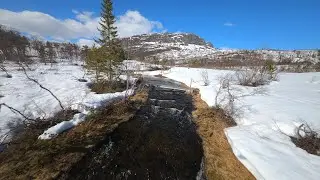 Olastøl 20. mai w/ Diatone Taycan