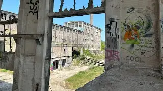 Exploring Ruins of Former Chemical Plant