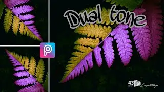 How to edit photo dual tone ||Picstart