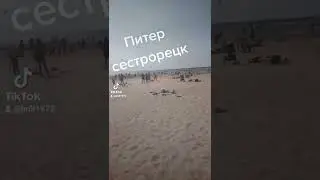 Питер Сестрорецк пляж 🏖