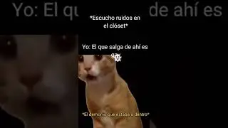 #humor