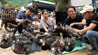 Zon brought the ducks to the market to sell and cooked duck stew according to a traditional recipe.
