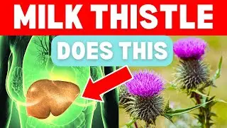 Top 6 Health Benefits of Milk Thistle | Natural Liver Detox and More