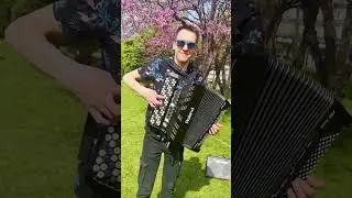 Por una cabeza Ost 