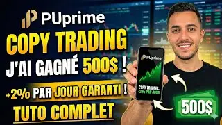 La meilleure stratégie de Copy Trading sur PUprime (2 % par jour ?)
