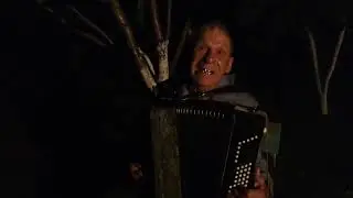 На озере лилии цветут