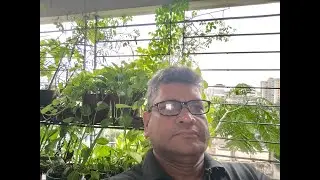 ধানমন্ডি লেক [জুলাই ০৫, ২০২৪]