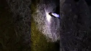 Хорошая находка на МТФ (пробное видео)