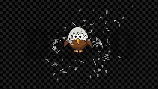 Custom Twitch Stream Alert