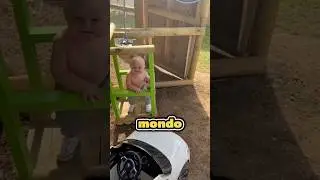 Ha costruito un mini ascensore da zero per suo figlio🥺 (@thesmithyfamily)tt