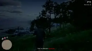 Read Dead Redemption 2 PS4 Pro