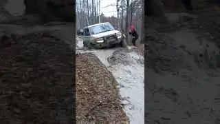 патриот сила