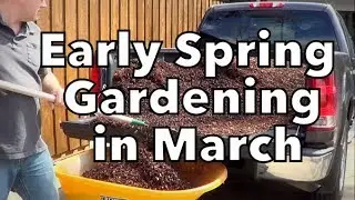 Busy in the Early Spring Vegetable Garden