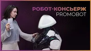 Робот-консьерж (2018)