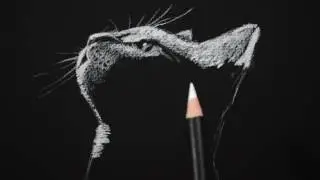 Drawing a Cat on Black Paper with White Charcoal