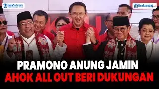 Pramono Anung Jamin Ahok All Out Beri Dukungan Meski Tak Masuk Susunan Timses