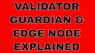 Validator, Guardian, and Edge nodes