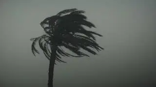 Temporal Santa Pola 2023
