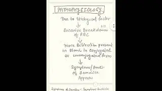 Jaundice | Handwritten Notes |