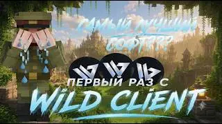 ПЕРВЫЙ РАЗ С WILD CLIENT | ЛУЧШИЙ КЛИЕНТ???
