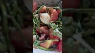 Fiddleheads salad 