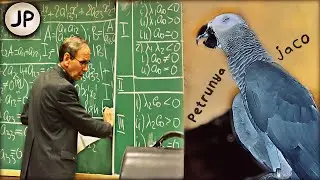 ✅ РЕАКЦИЯ говорящего попугая НА ЛЕКЦИЮ ПОВЫСШЕЙ МАТЕМАТИКЕ🤣Я СМЕЯЛСЯ ДО СЛЁЗ 🐦| ЖАКО ПЕТРУНЯ