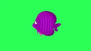Copyright Free animated swimming fish Green Screen Effect | Chroma Key | Royalty Free 