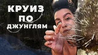 Круиз по джунглям. БРАЗИЛИЯ