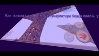 Как попасть за границу в симуляторе белки онлайн 2