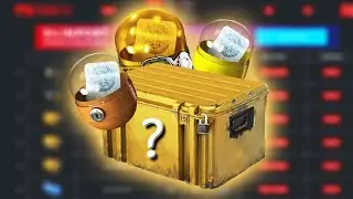 WHAT ARE THE BEST CASES IN CS2?