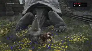 Going to the royal capital!!!- Elden Ring